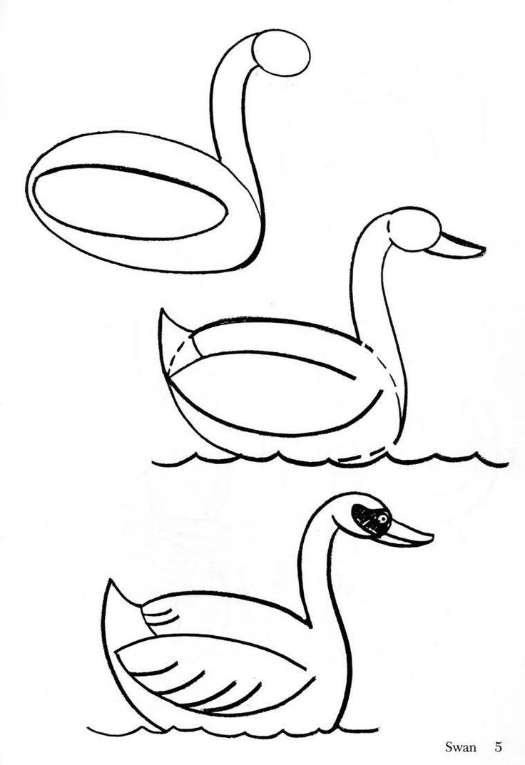 Cómo dibujar un cisne a lápiz (56 fotos) - Clases fáciles de dibujo de  cisnes